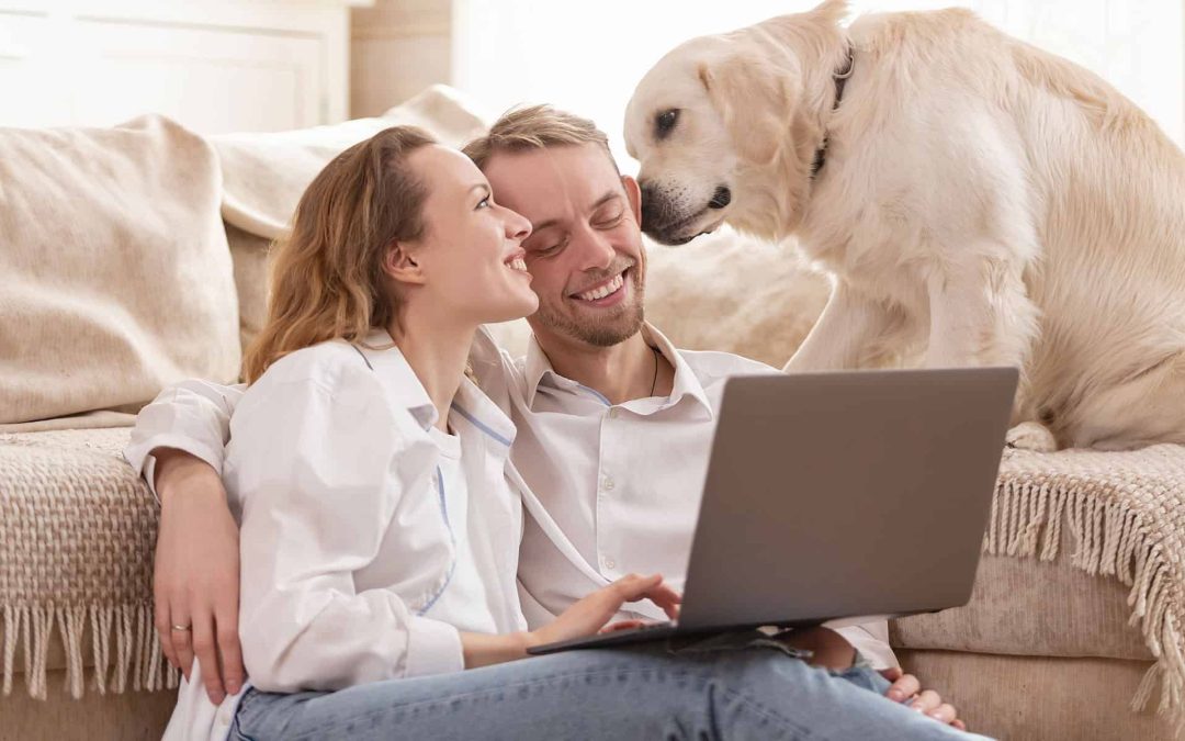Emergency Preparedness for Pet Owners: How to Instruct Your Pet Sitter