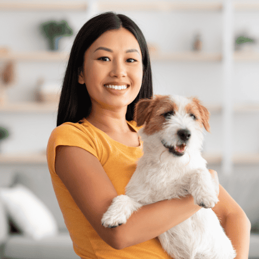 dog walking and pet sitting in los angeles