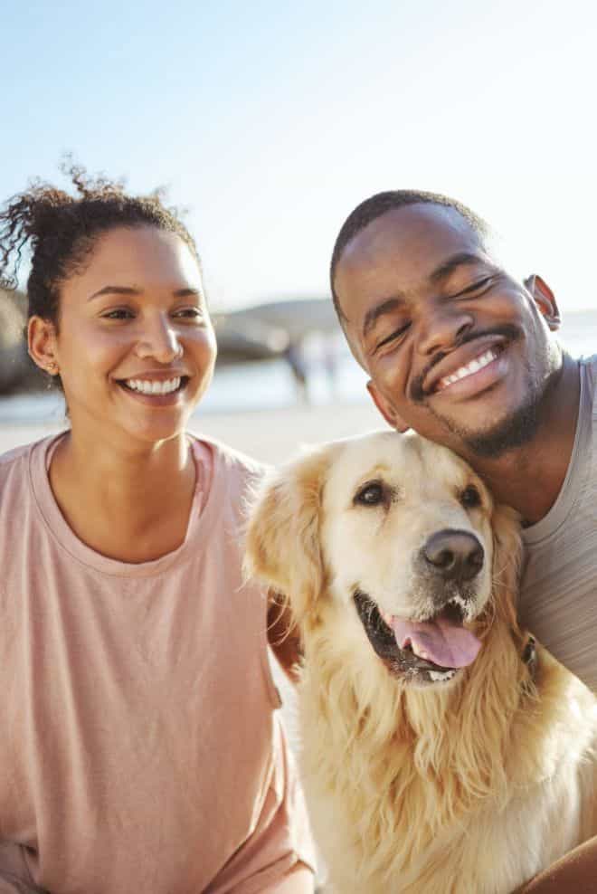 love pet care reviews