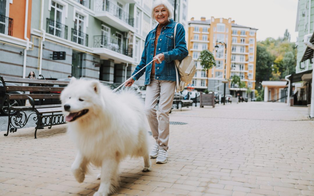 The Vital Role of Exercise in Your Dog’s Health and Happiness