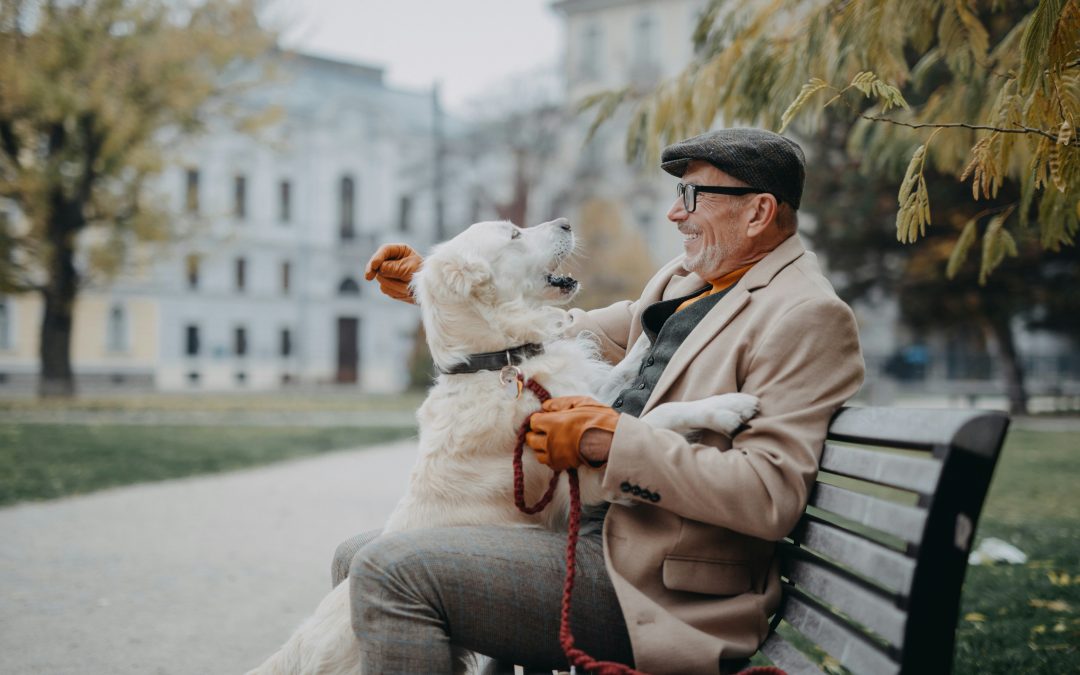 How to find a good dog sitter with 5-star experience
