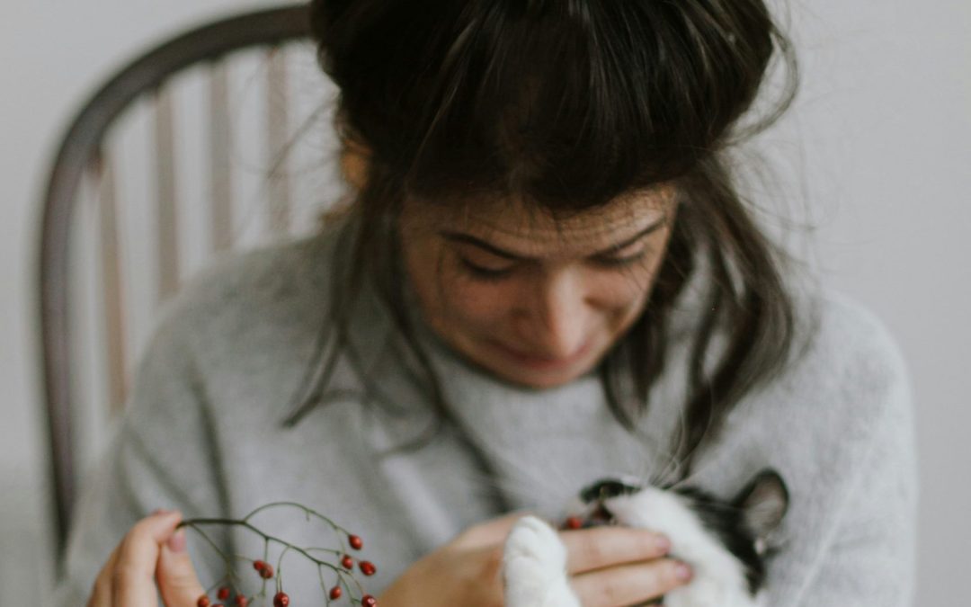 The Ins and Outs of Cat Sitting: The pawfect guide to find sitters