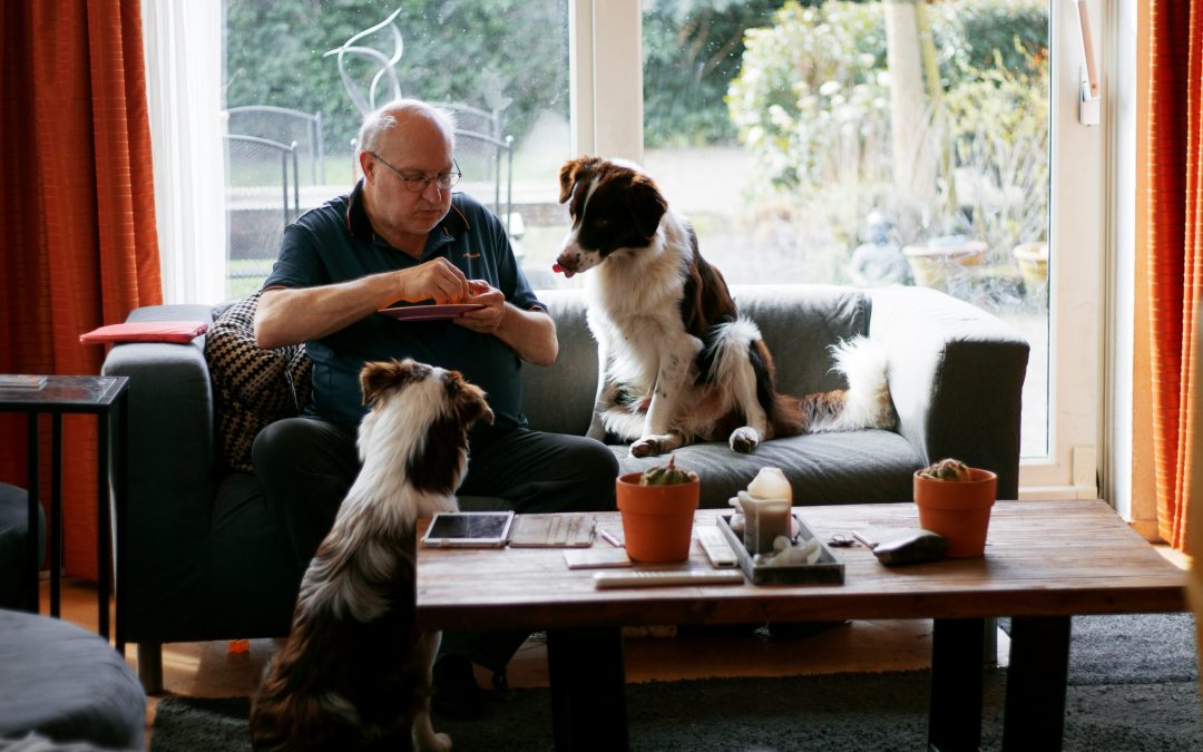 5 Top Alternatives to Rover: Discover the Perfect Pet Sitting Platform for Your Furry Friend!