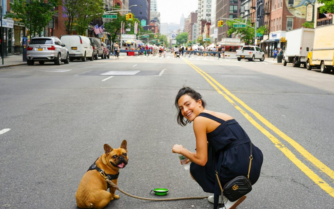 The Benefits of Hiring a Local New York Pet Sitter