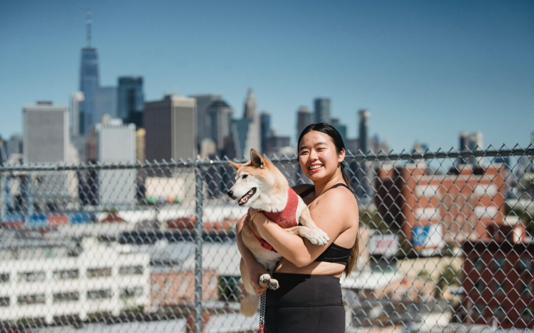 Pet Sitting in the Big Apple: What Every New Yorker Should Know