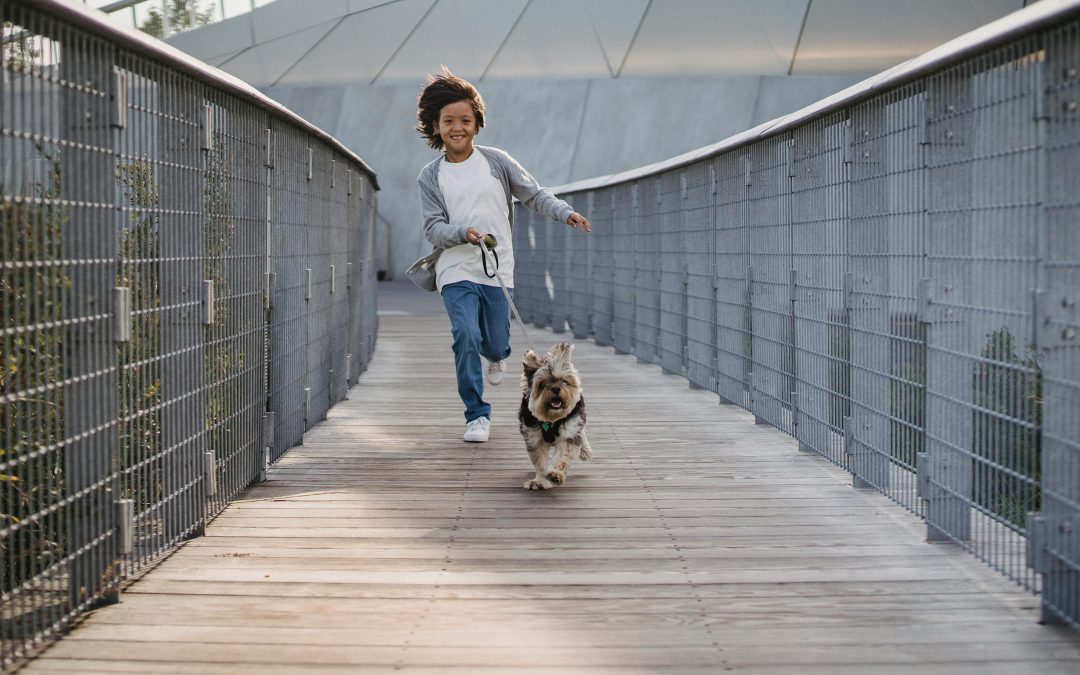 New York Pet Sitting: Tailored Services for Urban Pets