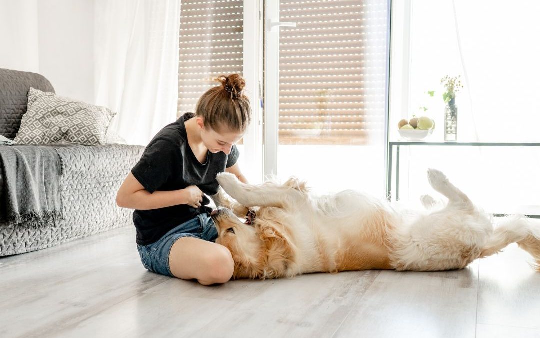 Convenient In-Home Pet Care Services in NYC