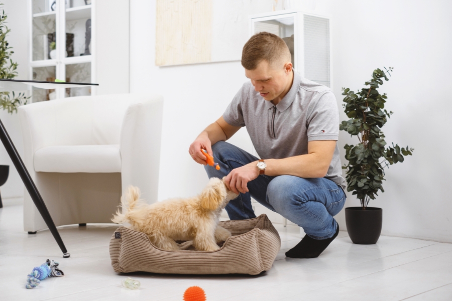 In-Home Pet Care (1)