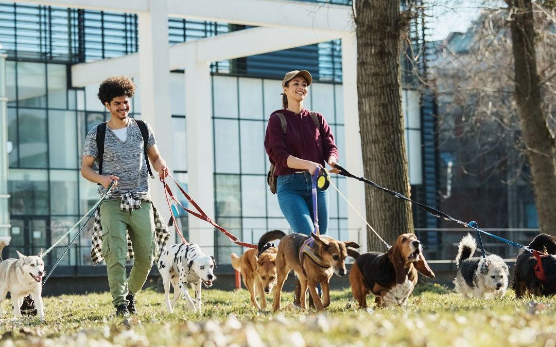 Professional Pet Sitters in NYC: Your Trusted Pet Care Solution