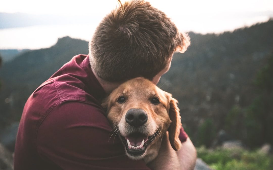 Top Dog Walking Apps for NYC Pup Parents