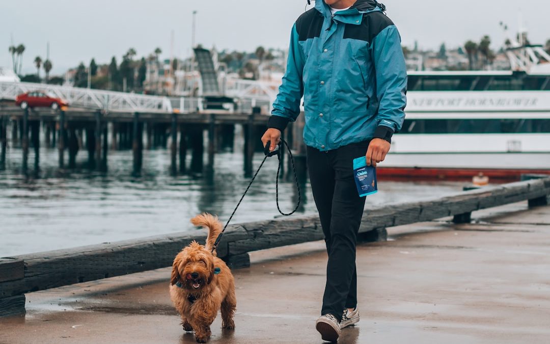 The Ultimate Pet Nanny NYC: Your Trusted Pet Care Solution