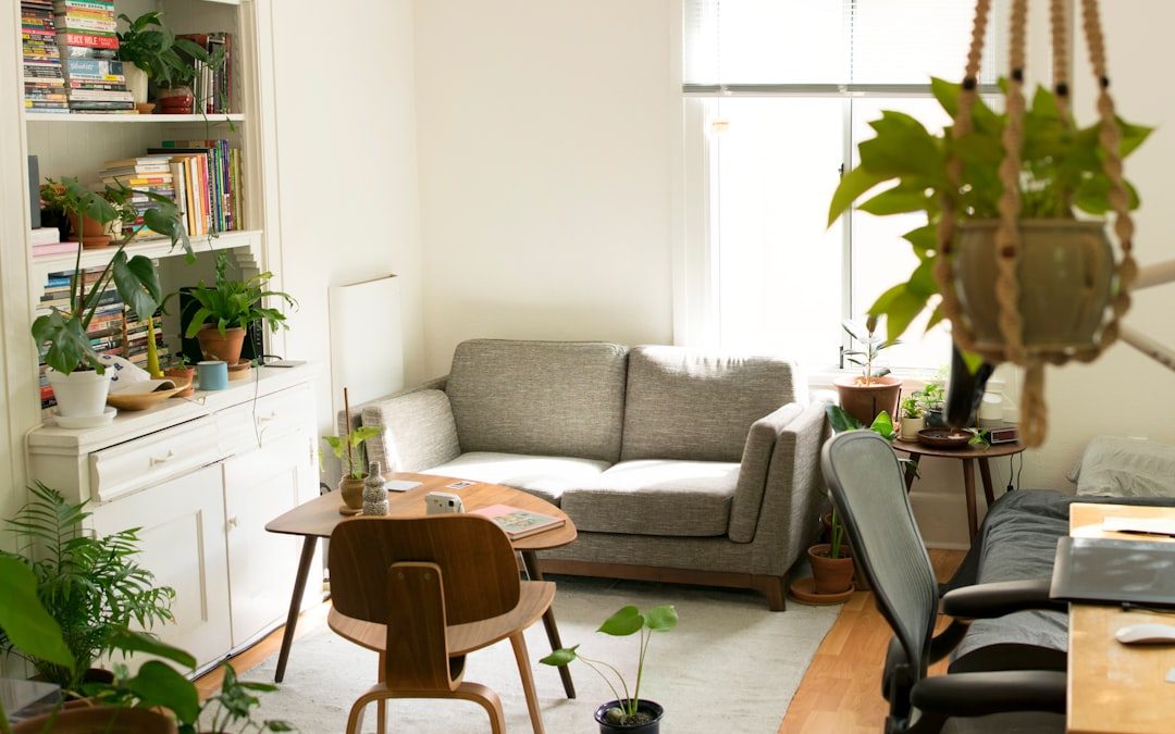 Cat Sitting in Brooklyn: A Purrfect Solution