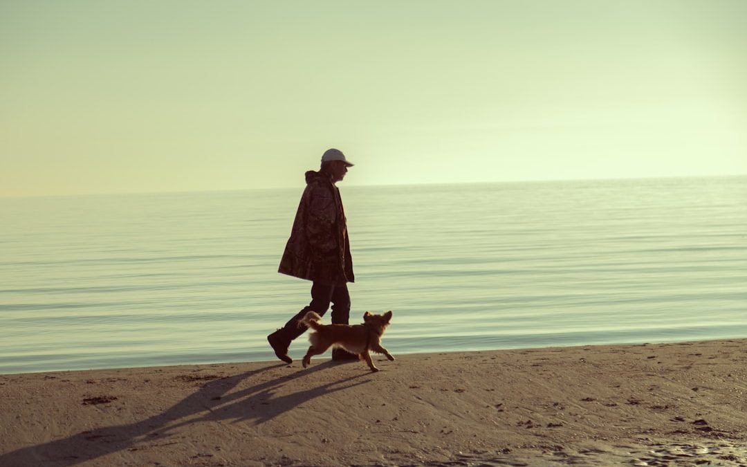 Professional Pet Sitters in NYC: Your Trusted Pet Care Solution