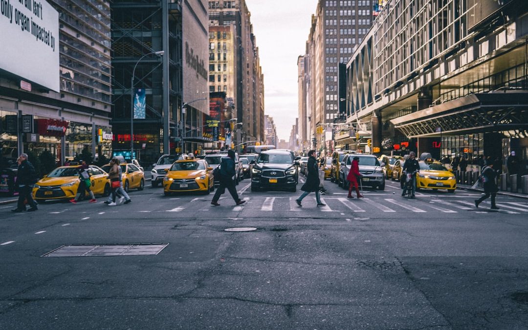 Exploring Dog Walking in Manhattan