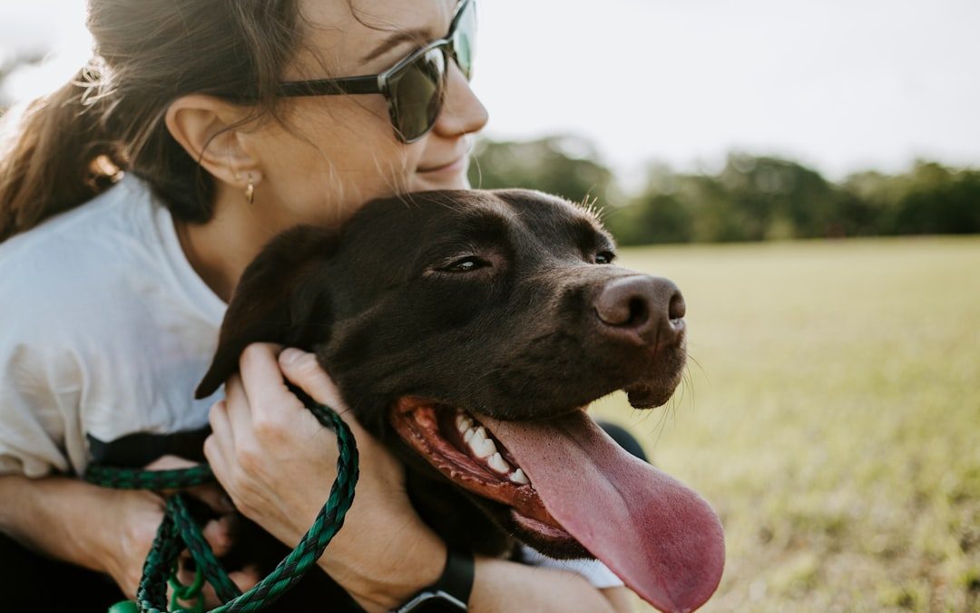 Convenient In-Home Pet Care Services in NYC