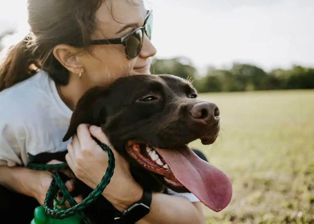 Photo Pet sitter