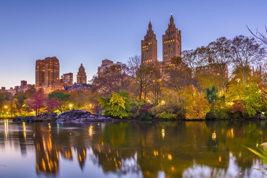 Central park at night