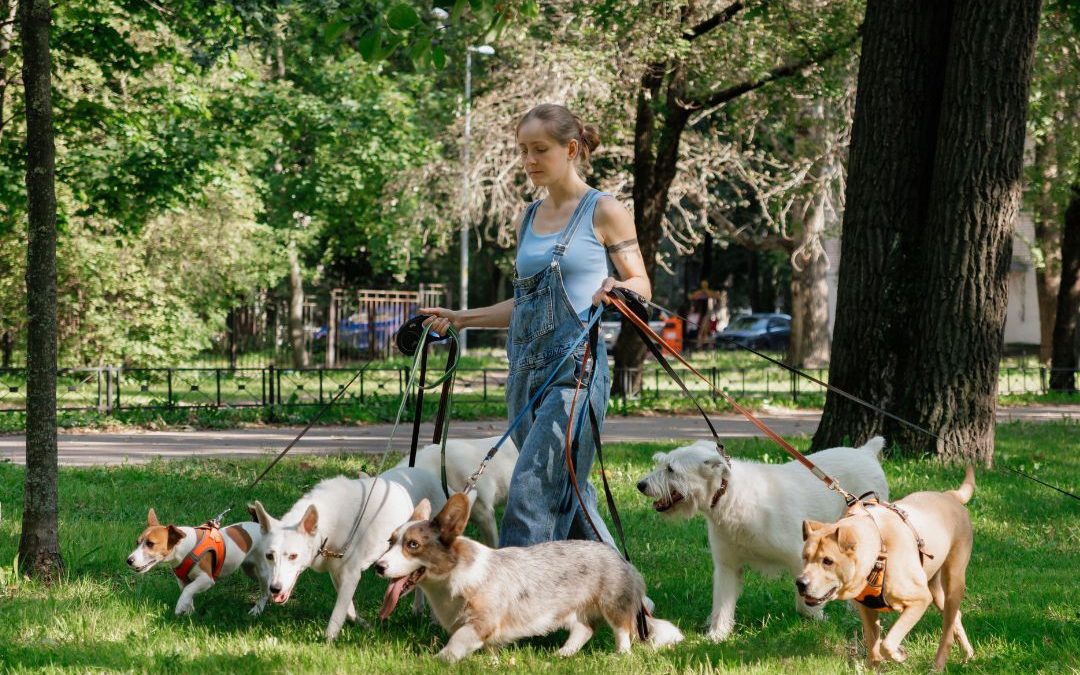 Exploring Dog Walking Prices in NYC