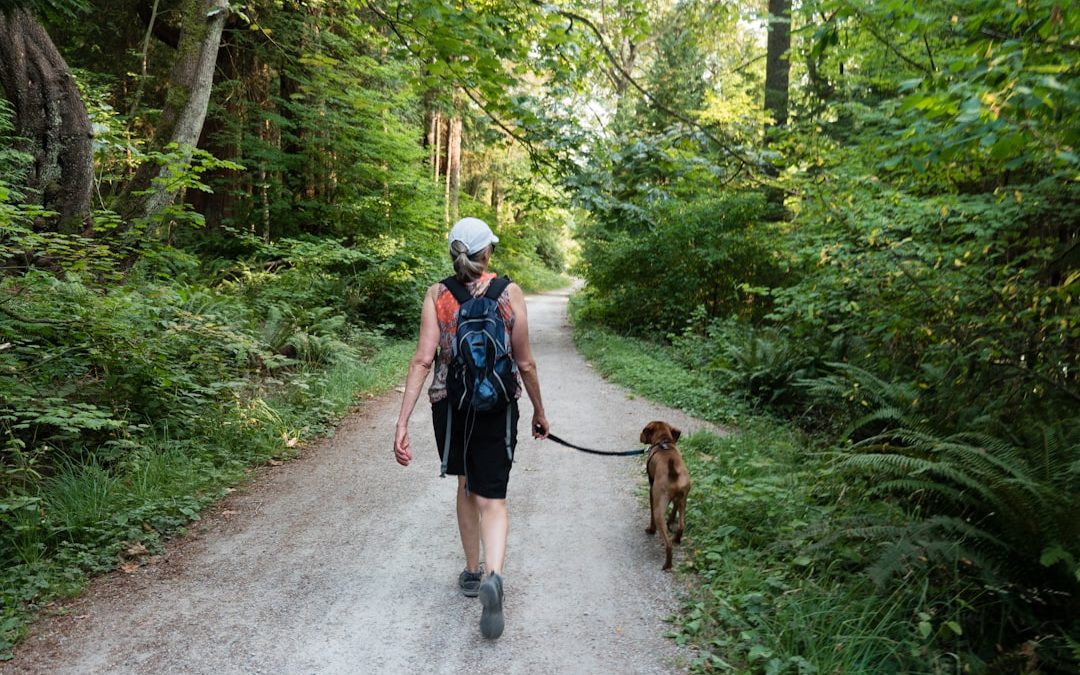 Top Pet Sitting Services in NYC