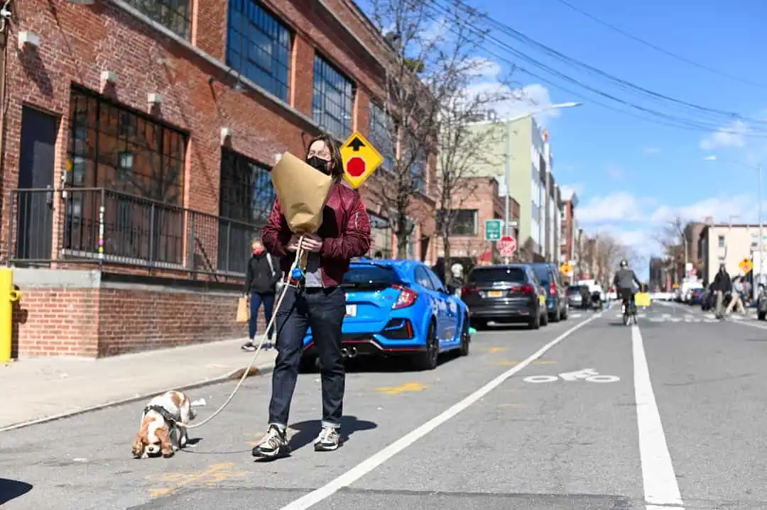 Photo Dog walker