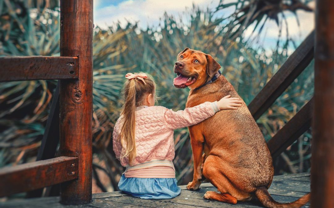 Finding Forever Friends: Dog Adoption in NYC