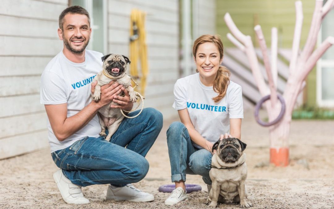 Finding Forever Friends: Dog Adoption in New York