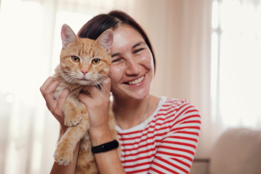 Post-Adoption Care and Support for NYC Cat Owners