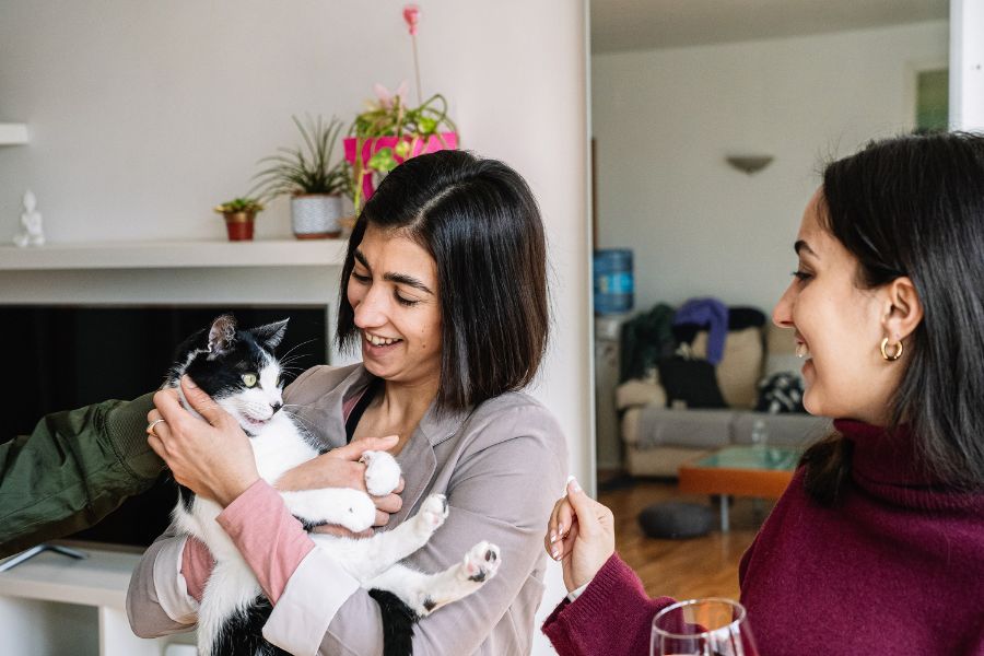 Resources and Support for New Cat Owners in New York