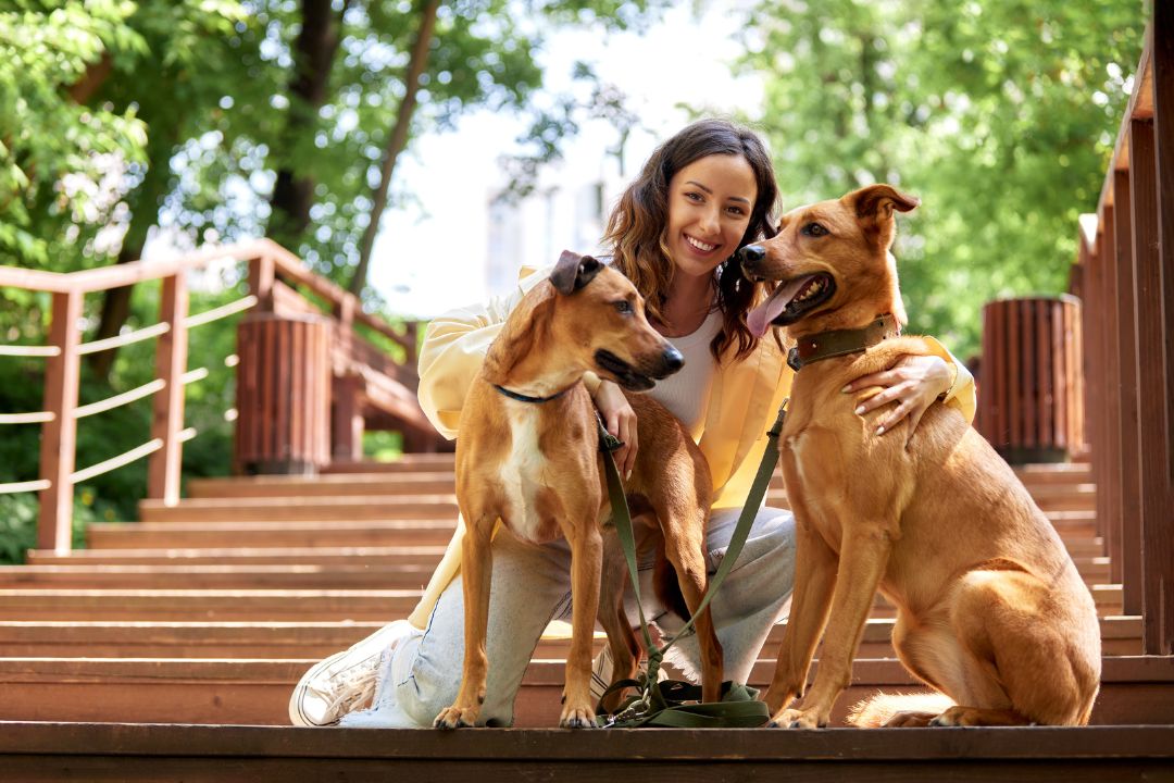 Best Dog Sitting Services in New York City (2026 Guide)