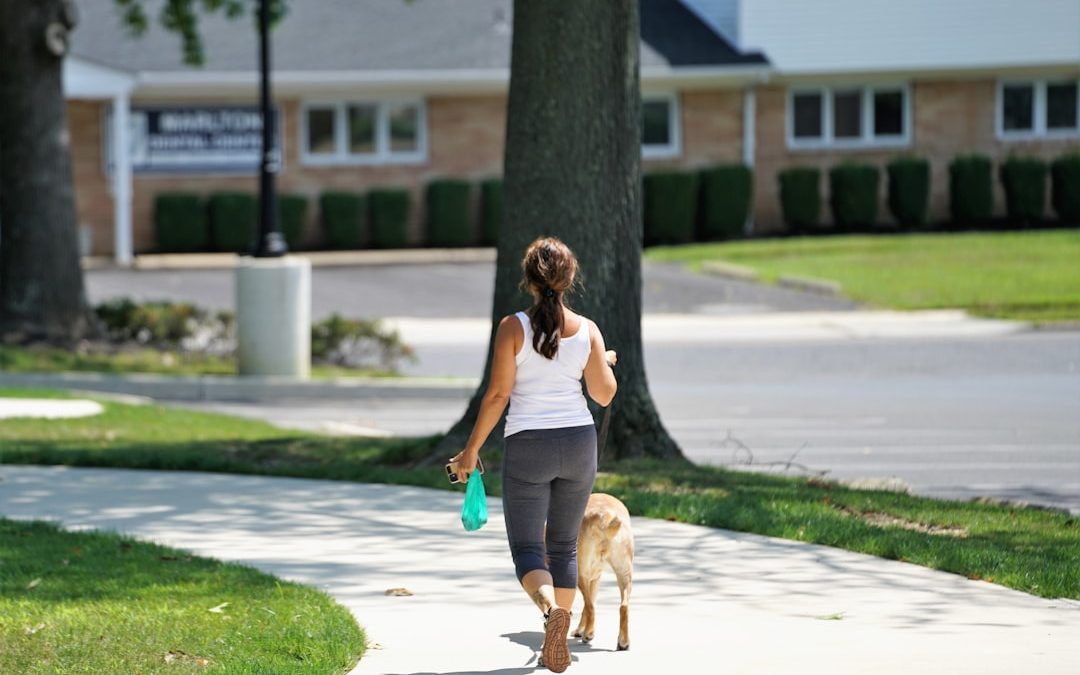 Exploring the Benefits of an Upper West Side Dog Walker