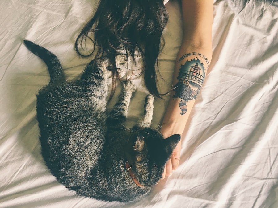 cat care NYC