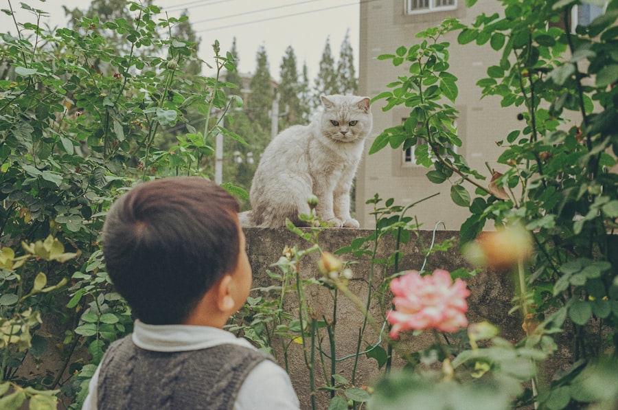 cat visits
