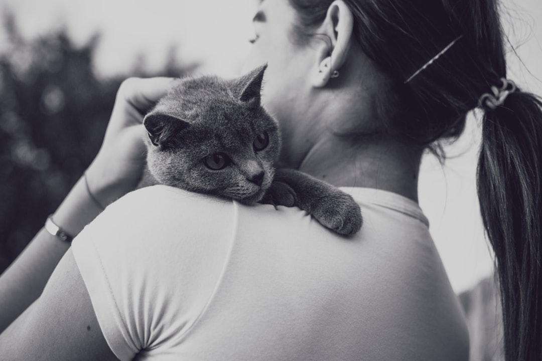 Photo cat care NYC
