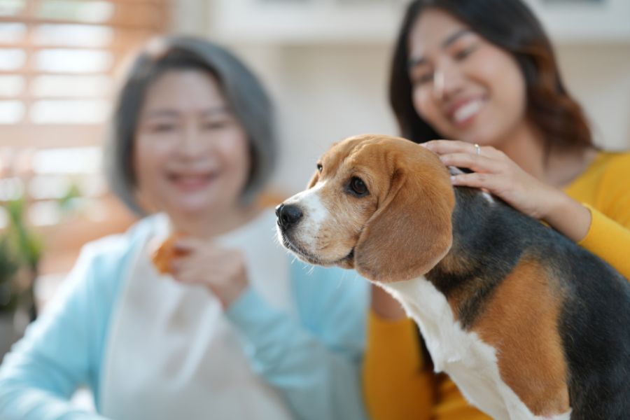 Interviewing Potential Sitters