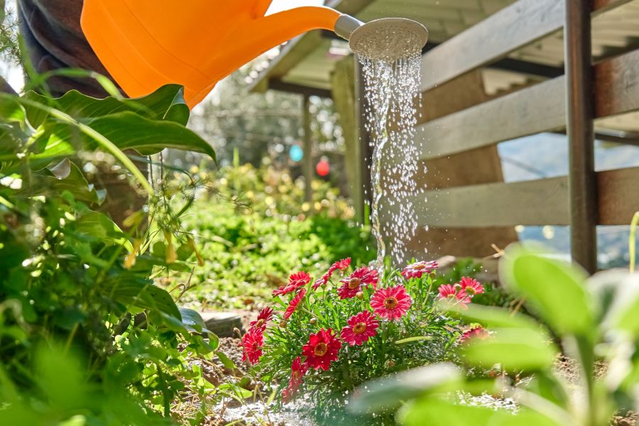 The Responsibilities of Housesitting in Los Angeles