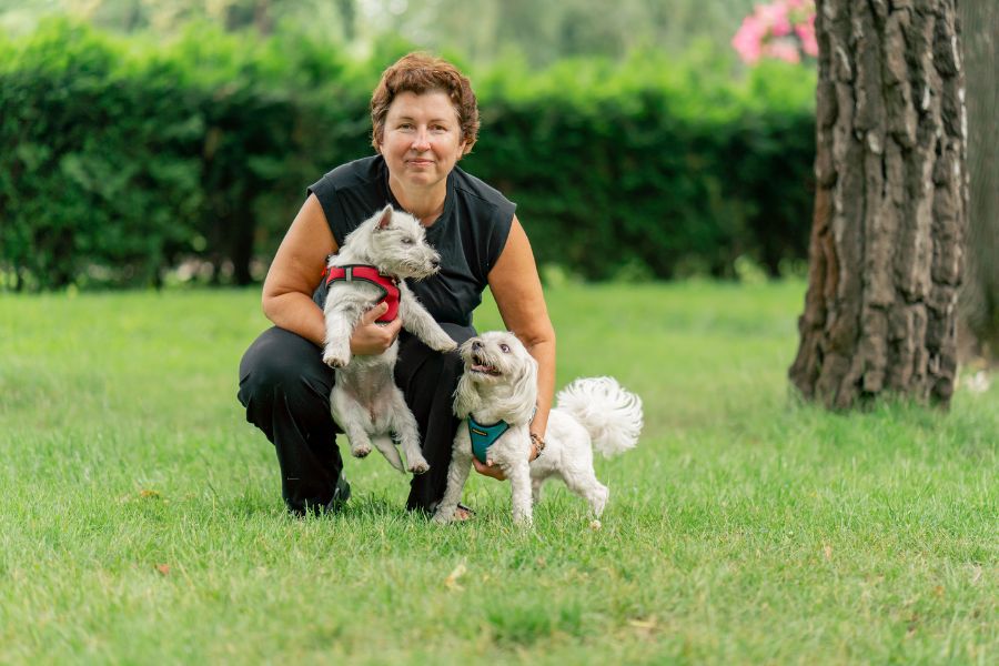 The Role of Communication in a Successful Dog Sitting Experience