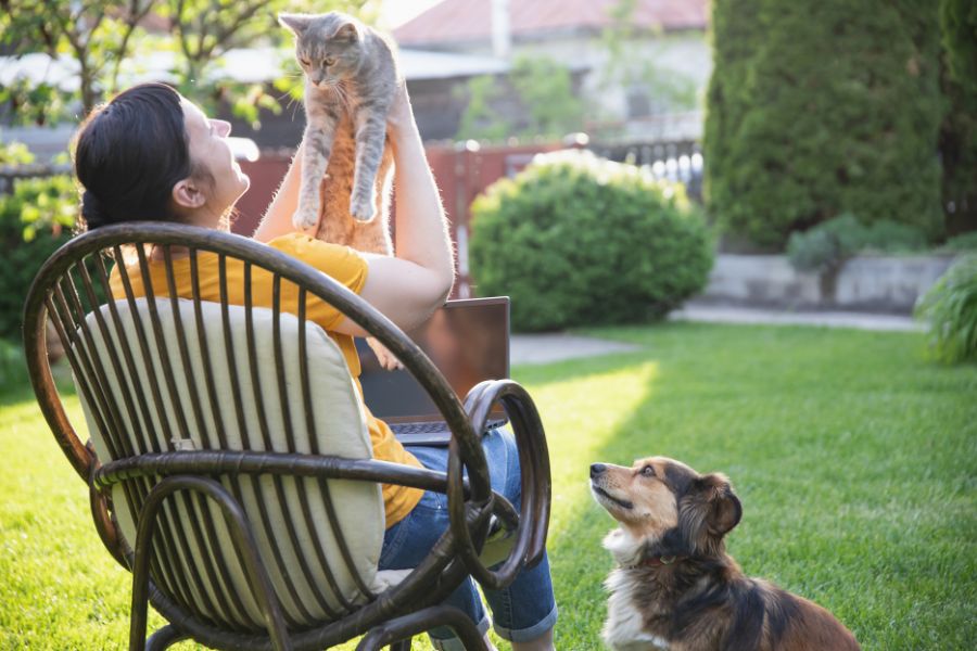 What to Expect When Housesitting in Los Angeles