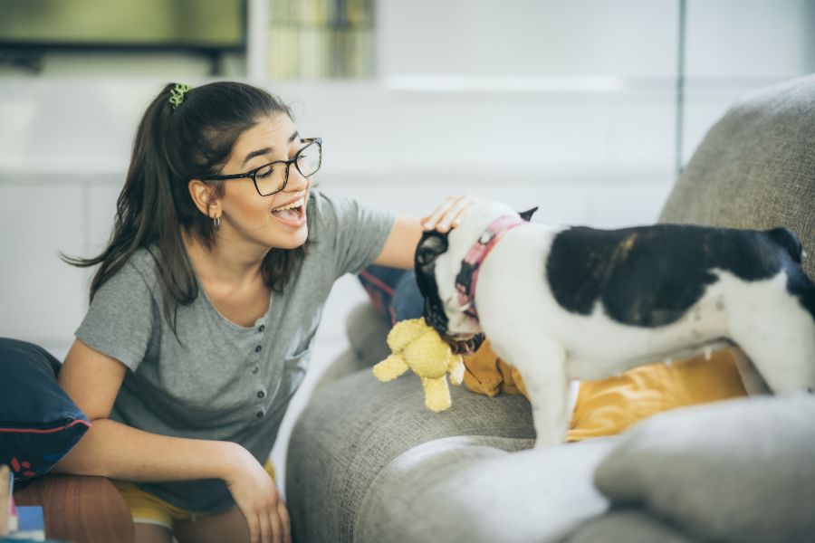 What to Look for in a Pet Sitter
