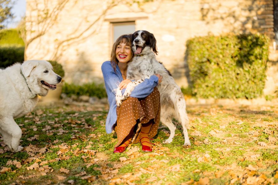 What to Look for in a Top Dog Sitter
