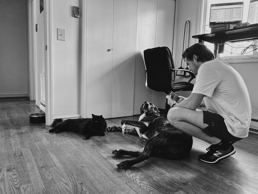 pet sitting brooklyn