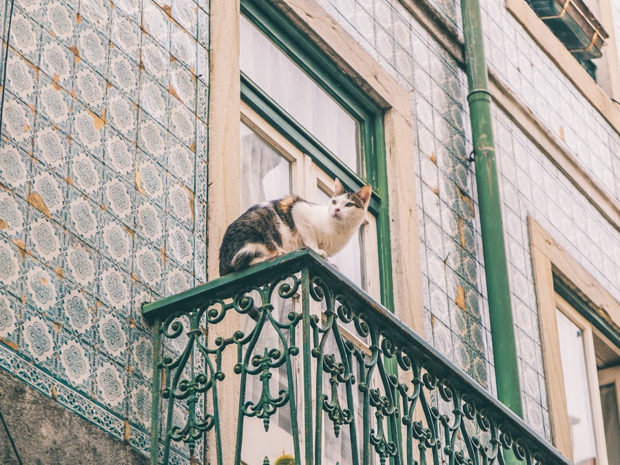 cat sitter manhattan