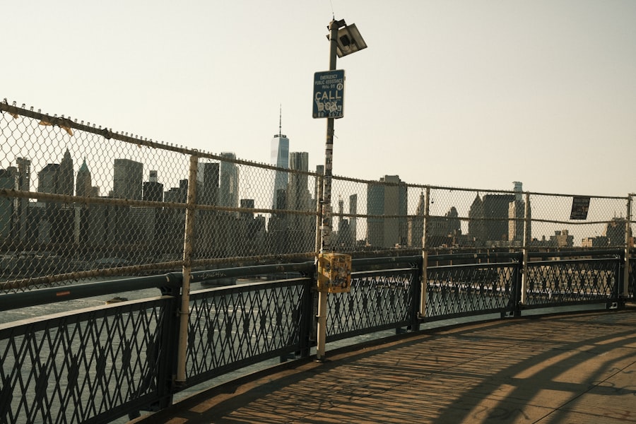 Photo dog sitter brooklyn