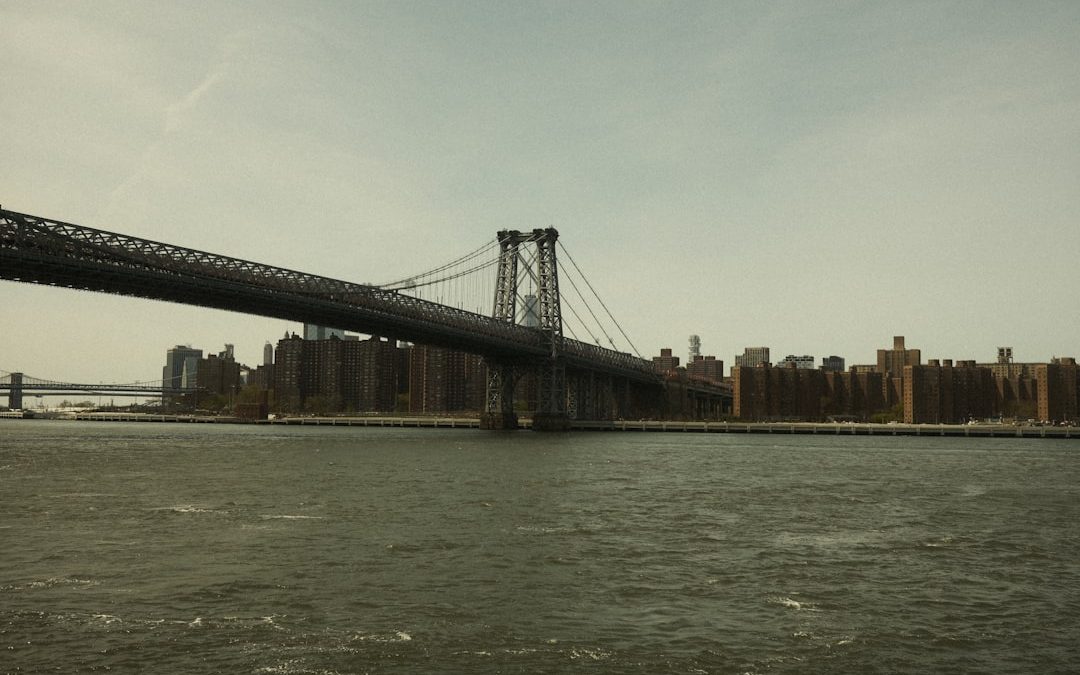 Top Dog Sitter in Brooklyn: Your Pet’s Perfect Companion