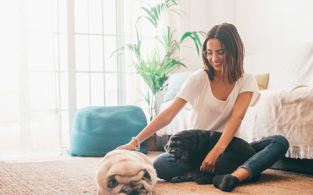 Finding the Best Pet Sitter in Los Angeles