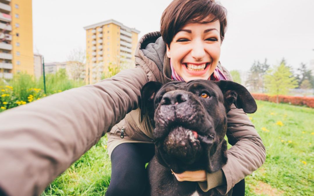 The Best Dog Sitter in LA: Your Pet’s Home Away from Home