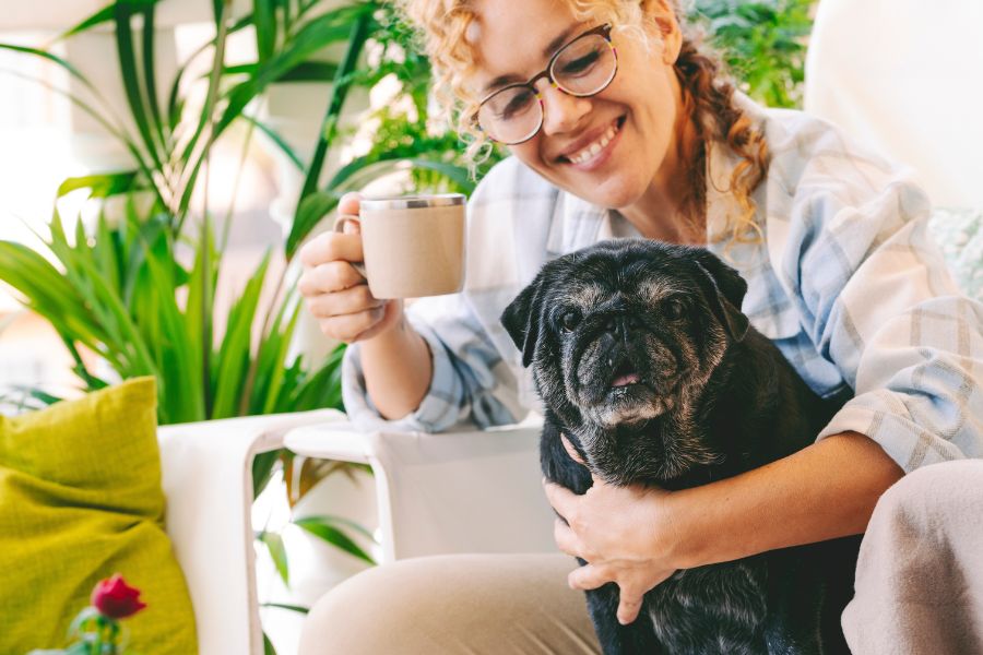 The Best Pet Sitting Services for Cats in Los Angeles