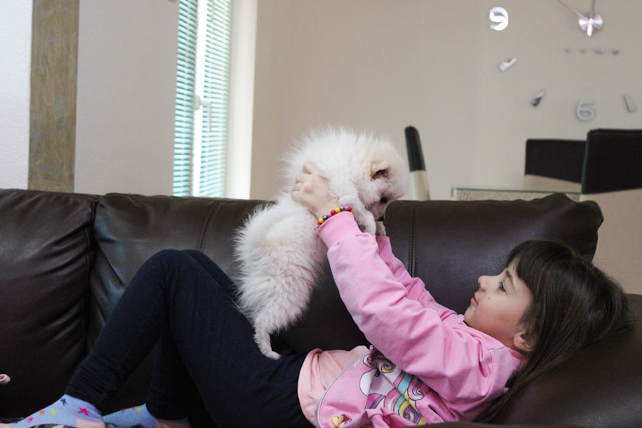 pet sitter app alternative