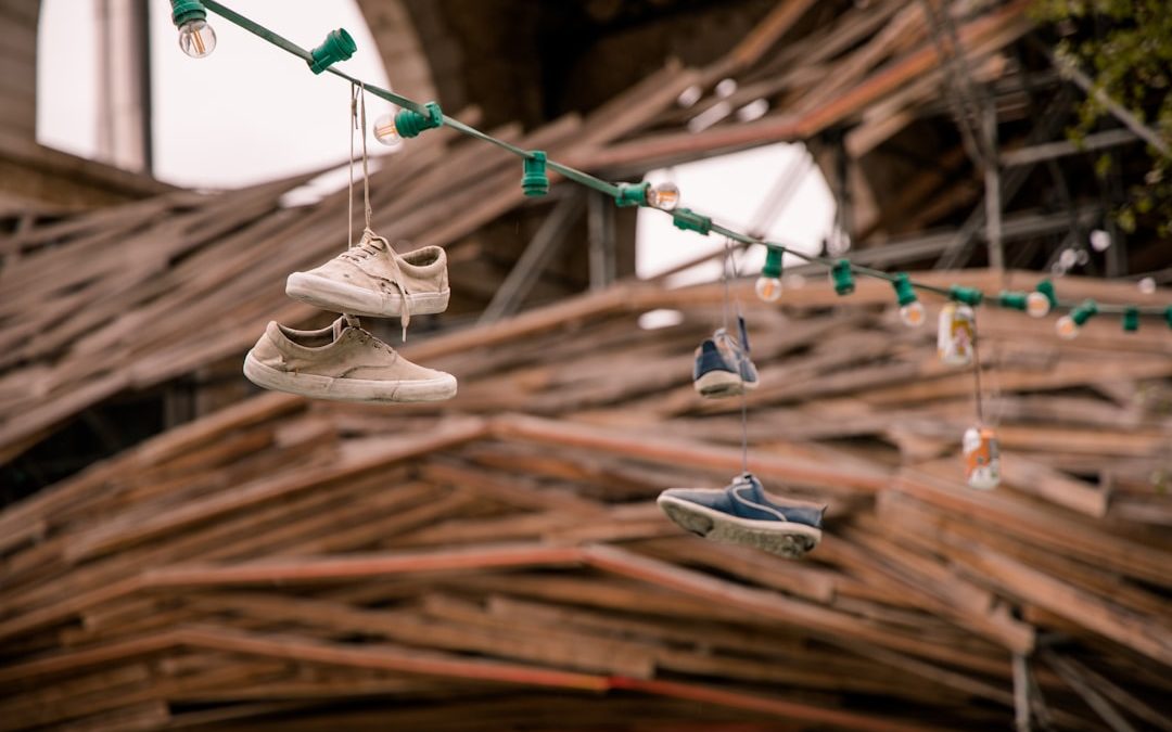 Top Wag Alternatives in NYC and LA