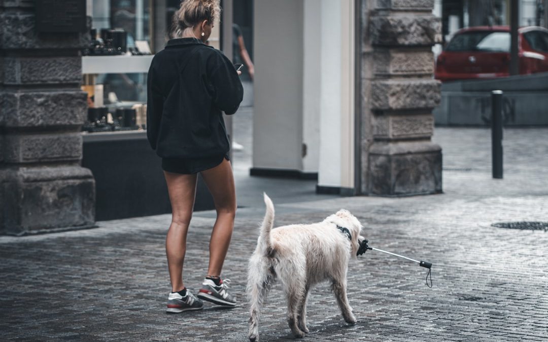 Exploring Alternative Dog Walking Services to Wag