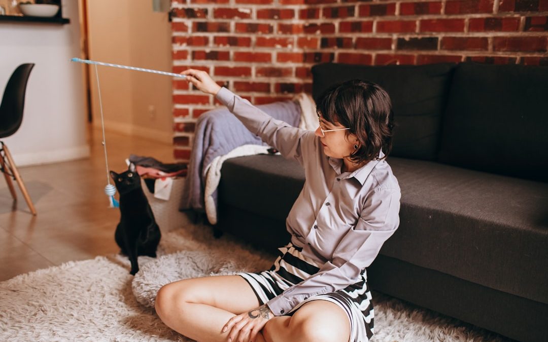 Discover the Best Pet Sitting App as an Alternative to Wag